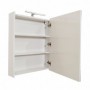 Set Baza si lavoar GN0541 cu sertare, suspendat si Oglinda GN5011 - 60 cm, alb