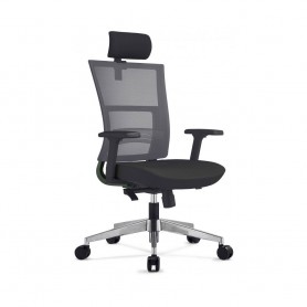 Scaun ergonomic cu tetiera Next